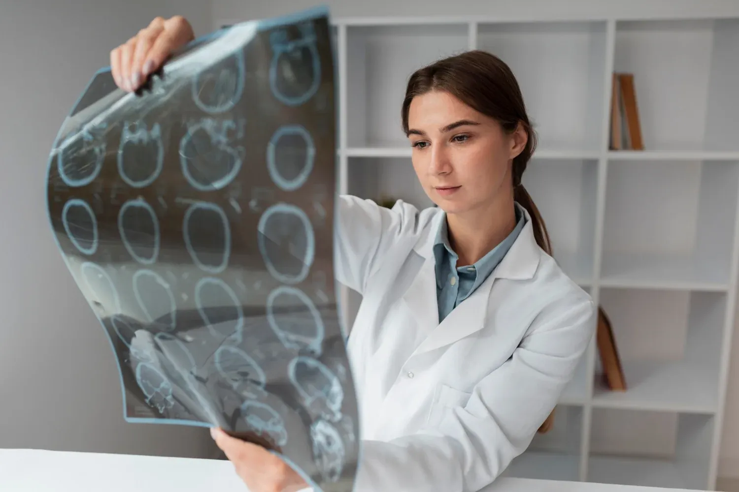 Curso de Introducción a la Neuroanatomía Aplicada a la Terapia de Lenguaje Fono Aprende México